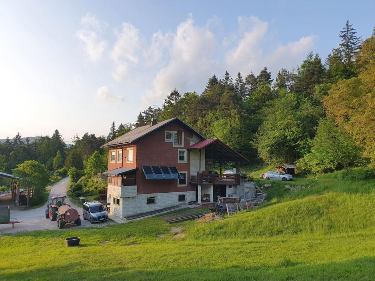 Apartma Narava Begunje pri Cerknici エクステリア 写真